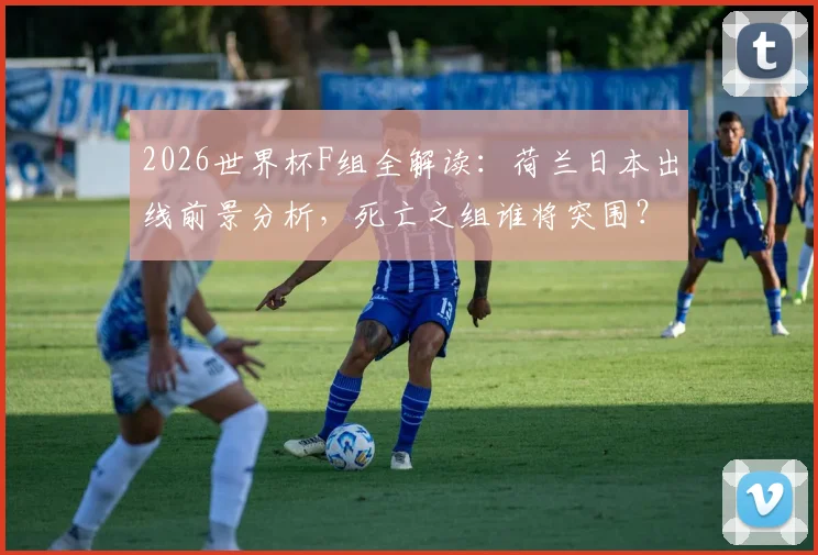 2026世界杯F组全解读：荷兰日本出线前景分析，死亡之组谁将突围？